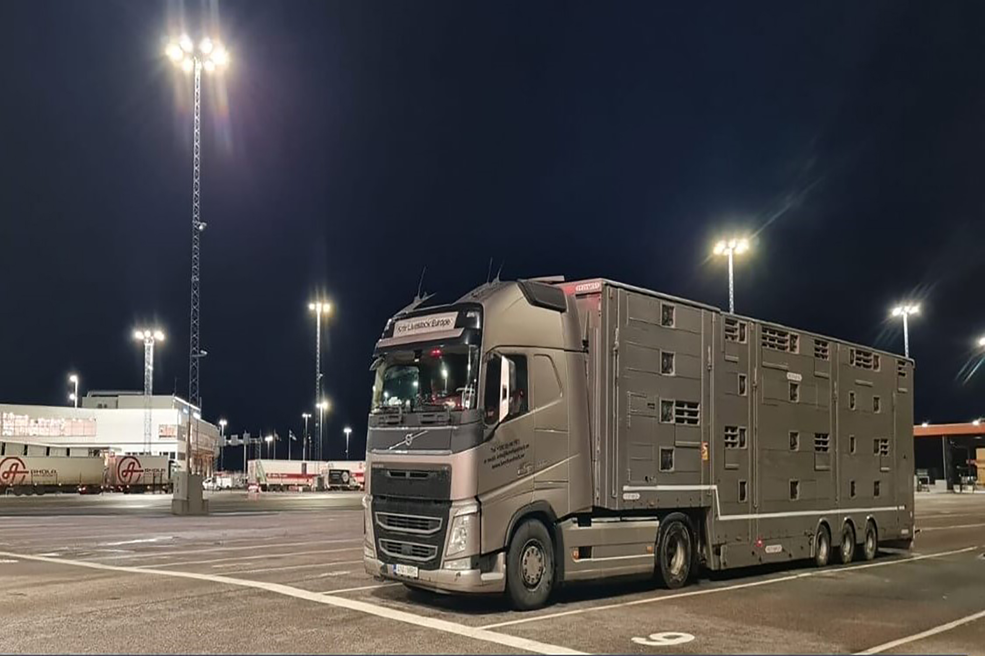 Pro Tips for Livestock Transportation with Modern Logistics 7 transport08