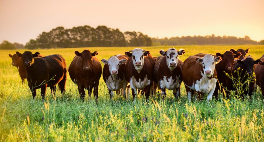 Success Stories and Customer Experiences in the Industry 3 blog-1.jpg